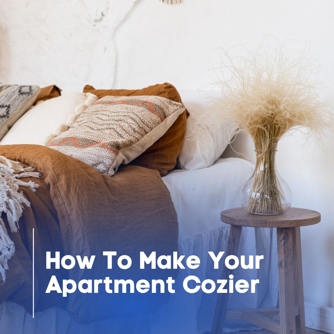 Make your apartment cozy
