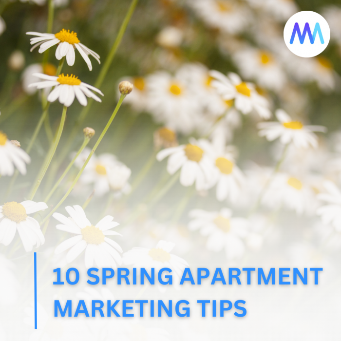 Innovative Apartment Marketing Ideas For Spring   Copy Of Future Proof Strategies For Effective Apartment Marketing 1 700x700 