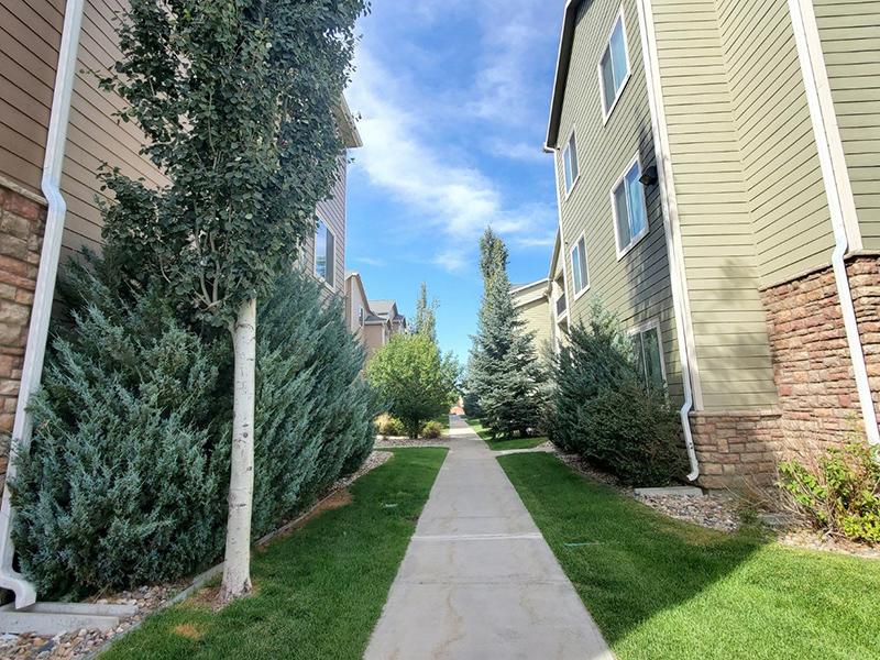 South Fork Apartments in Gillette, WY 82718 | Market Apartments