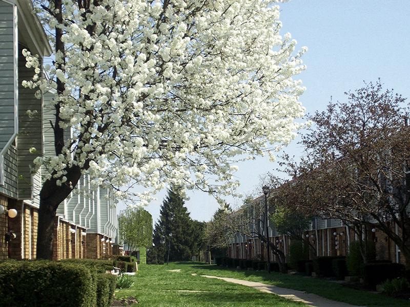 Sharon Green Townhomes in Columbus, OH
